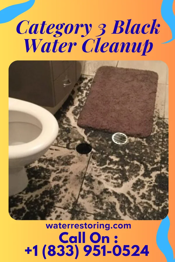 Category 3 Black Water Cleanup in Corona, NM